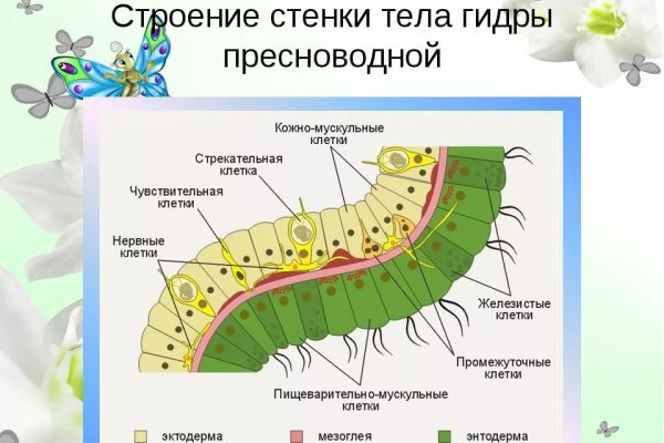 Кракен обход