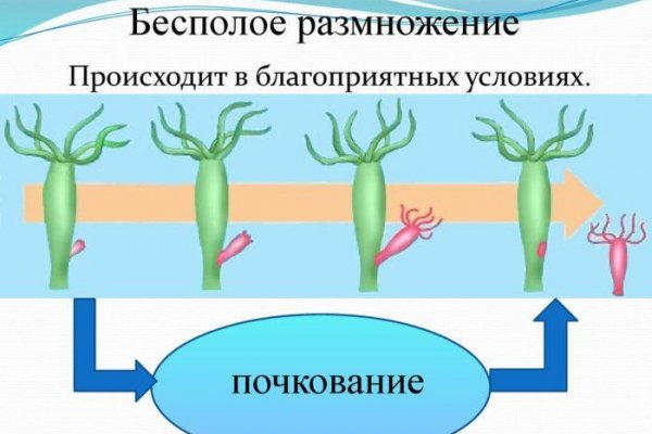 Как зарегистрироваться в кракен в россии