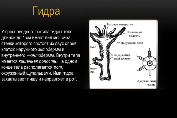 Ссылка на кракен реальная