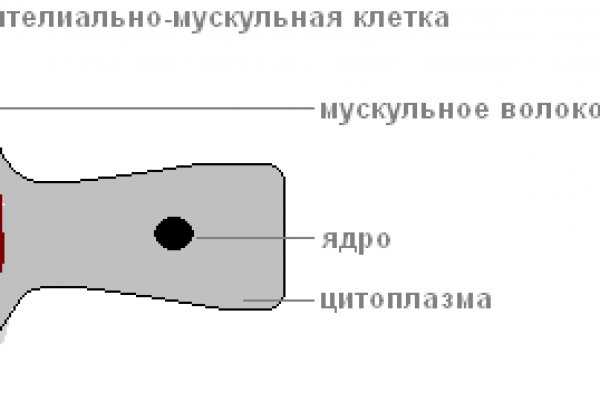 Как войти в кракен