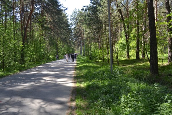 Кракен даркнет в тор